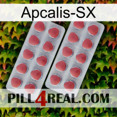 Apcalis-Sx 19